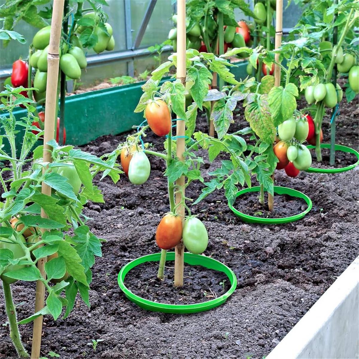 【COUNTDOWN DEAL】 4 Plant Guard - Gardening Tools Deals recension och pris