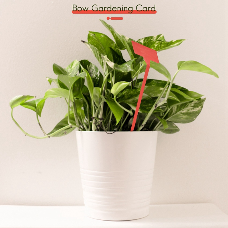 ABYP Gardens Planting Tools 50 - Gardening Tools Types recension och pris